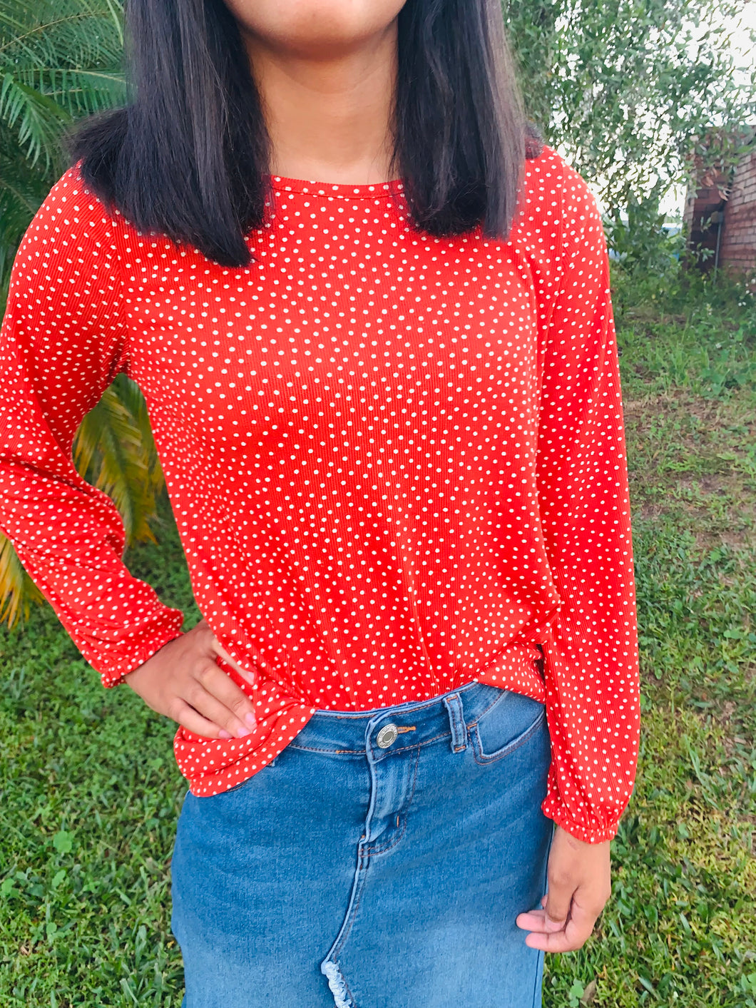 Swiss Dotted Long Sleeve Blouse in Rust